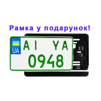 Американські номери для електромобілів