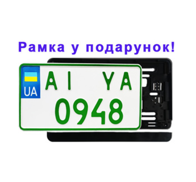 Американські номери для електромобілів: що потрібно знати?